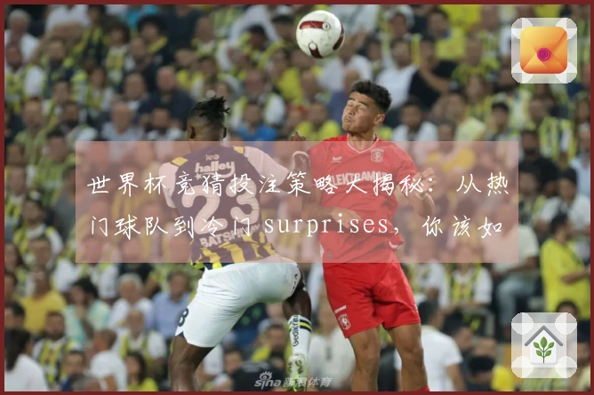 世界杯竞猜投注策略大揭秘：从热门球队到冷门 surprises，你该如何选择