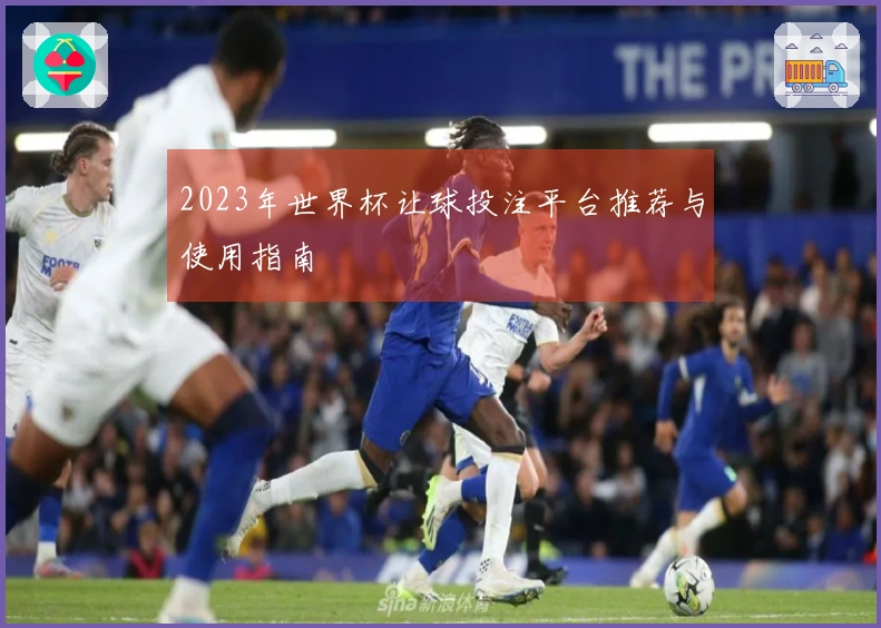 2023年世界杯让球投注平台推荐与使用指南