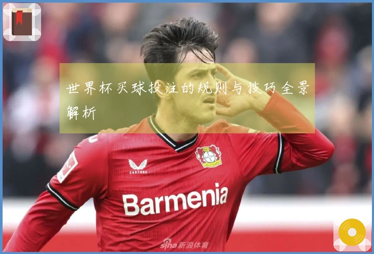 世界杯买球投注的规则与技巧全景解析
