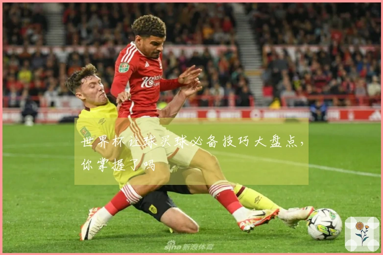 世界杯让球买球必备技巧大盘点，你掌握了吗