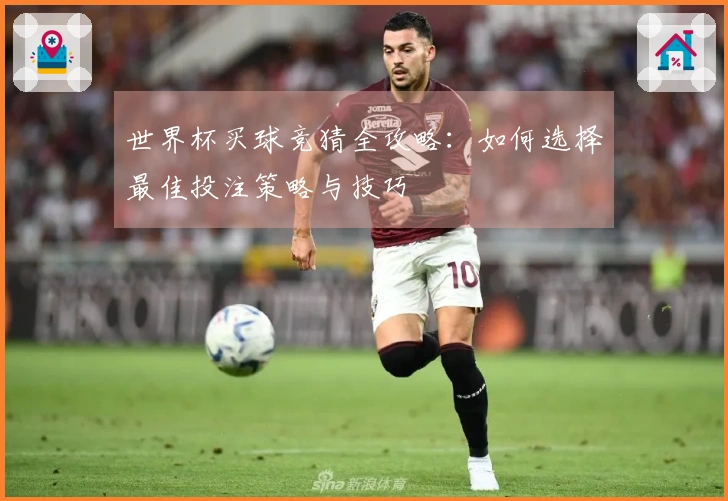 世界杯买球竞猜全攻略：如何选择最佳投注策略与技巧
