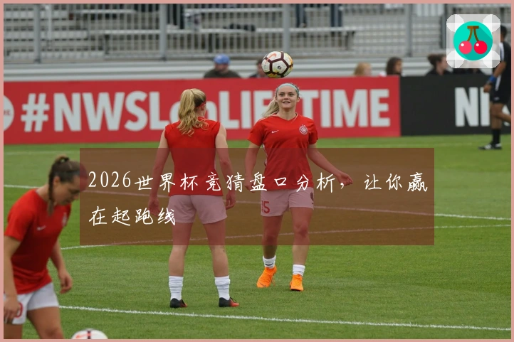 2026世界杯竞猜盘口分析，让你赢在起跑线